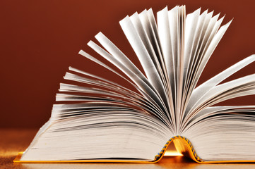 Composition with books on the table