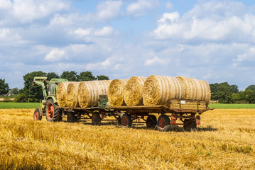 Tractor pulling two trailers with hay bales