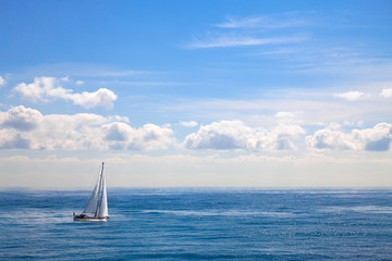 Seascape. Summer landscape.