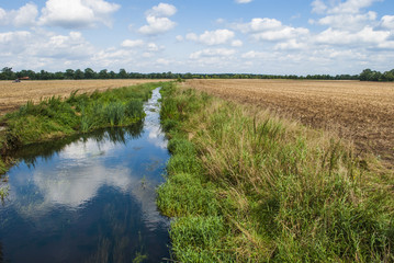 Brook