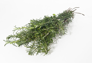 Rosemary