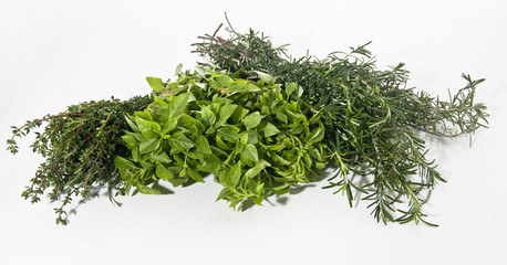 variety garden herbs