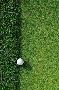 Let's golf