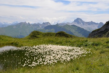 Aravis pointe percee