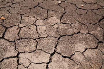 Dry cracked earth background