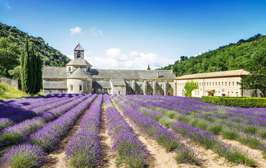 Abbey of Senanque