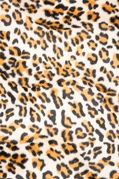 Tiger pattern background or texture