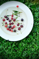 Sweet cherry fruits on the grass