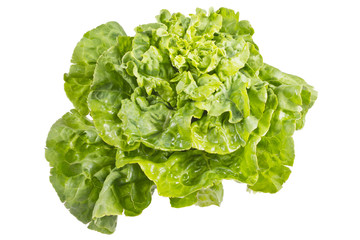 lettuce leaves