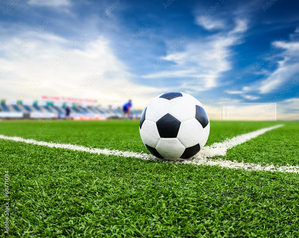 Wall mural soccer ball on green grass field