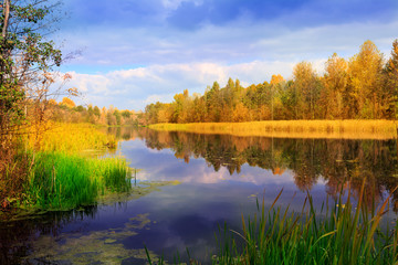 Fototapeta na wymiar Nice autumn scene on lake