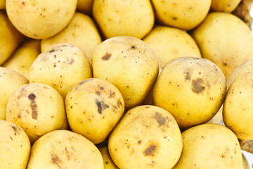 Longkong fruit, Lansium parasiticum