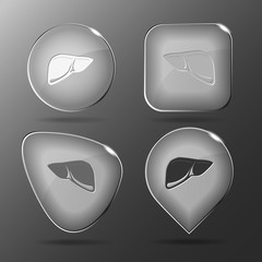 Liver. Glass buttons. Vector illustration.
