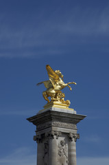 Fototapeta na wymiar Golden horse statue. Statue of golden horse in Paris.