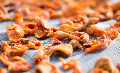 dried apricots