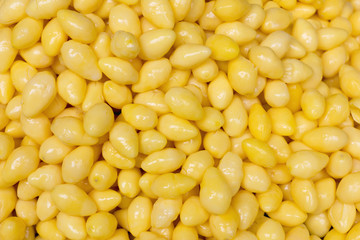 Gingko nuts (Ginkgo biloba) in Chinese market, Bangkok, Thailand