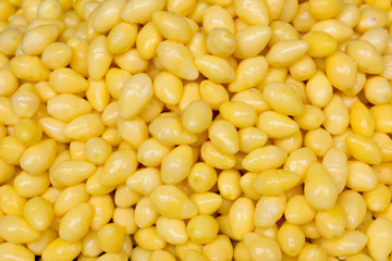 Gingko nuts (Ginkgo biloba) in Chinese market, Bangkok, Thailand