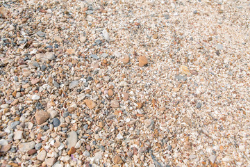 Sea stones background.
