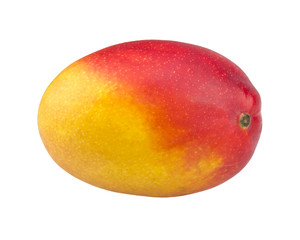 Mango fruit isolated on white background