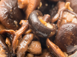 background of shiitake mushrooms