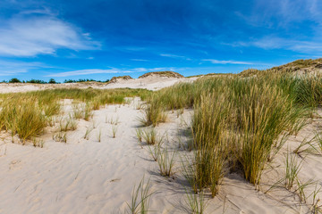 Moving dunes park near Baltic Sea in Leba, Poland