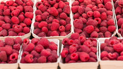 Red raspberries in boxes at local farm market in Poland.