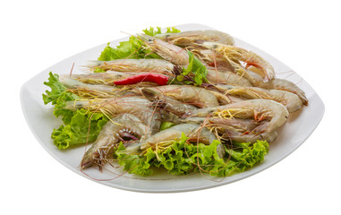 Raw tiger shrimps