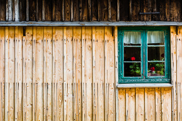 Green window with red flowers