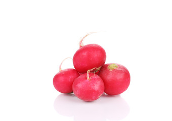 Heap of fresh radish.