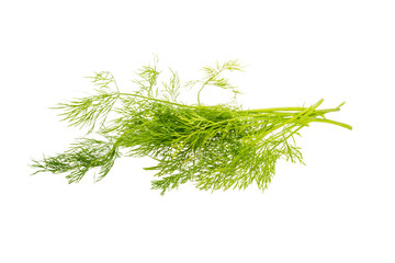 Fototapeta premium Dill branch