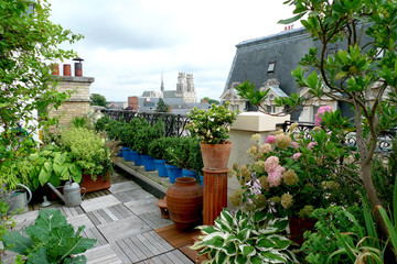 terrasse sur un toit d'immeuble