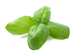 Fresh basil leaves.