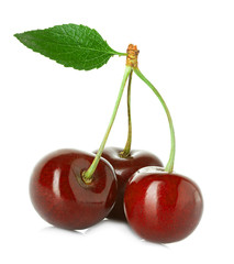 Juicy sweet cherry with leaf isolated on white background