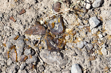 broken glass bottles