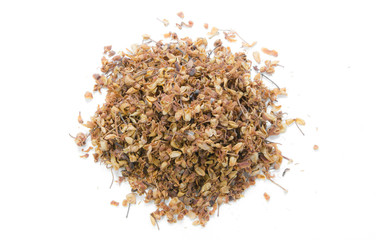 Mammea siamensis  Kosterm on white background