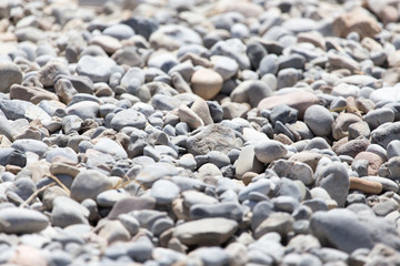 stones in nature as background