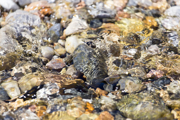 Stones in water Nature