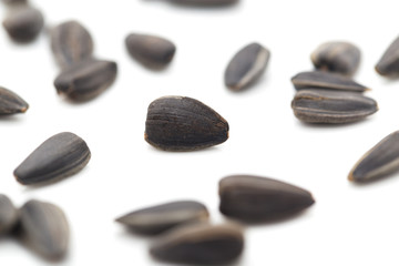 black seeds on a white background