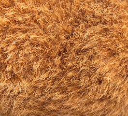 background of fur