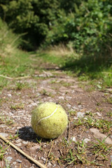 Old dog's tennis ball on a woodland path