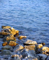 Rocks and waves