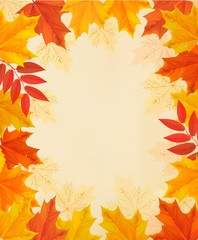 Naklejka na ściany i meble Retro autumn background with colorful leaves. Vector.