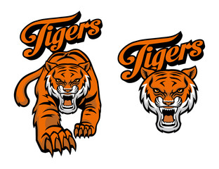 Fototapeta premium tiger mascot