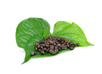 Coffee Beans leaf