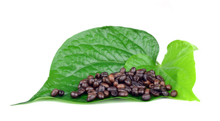 Coffee Beans leaf