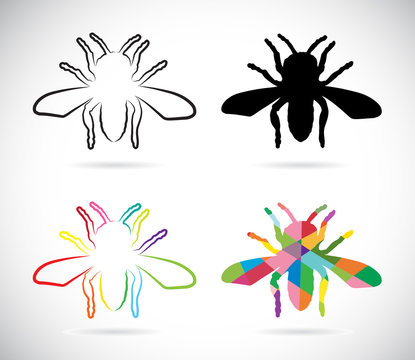 Vector image of an insects