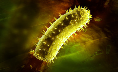 Fototapeta premium rabies virus