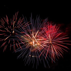 Fototapeta premium Fireworks on the black sky background.