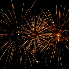 Fireworks on the black sky background.