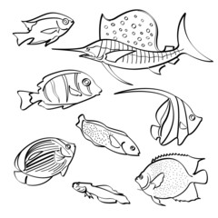 Fishes Collection